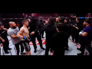 Конфликт сибирского конора и нейта диаза в октагоне hfc mma