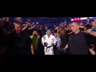 Ufc исполнилось 30 лет