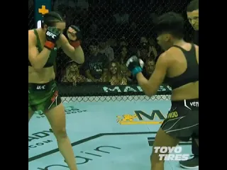 Номинанты на дебют года в ufc