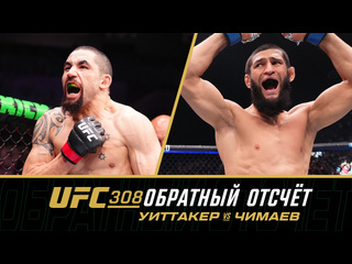 Ufc 308 обратный отсчет уиттакер vs чимаев