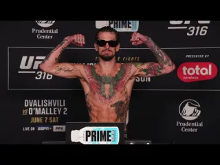 Шон омэлли взвешивание перед ufc 316