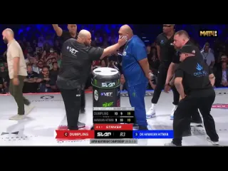 Василий пельмень камоцкий vs дейна гавайский хитман вернс