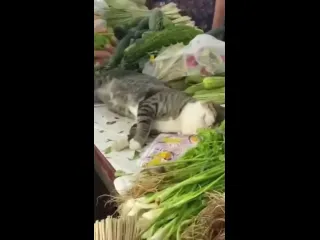 Премию ему