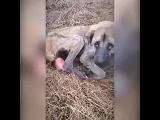 Будьте добрее