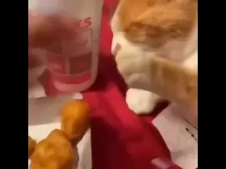 Каков наглец