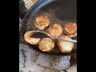 Гребешки