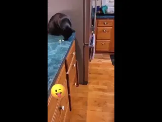 И оба счастливы