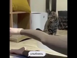 Улыбнись