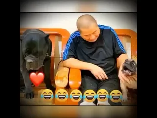 Смелость