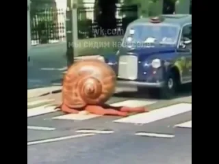 Дурачок