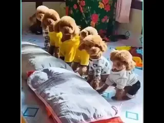 Тихий час
