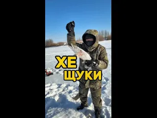 Хе из щуки