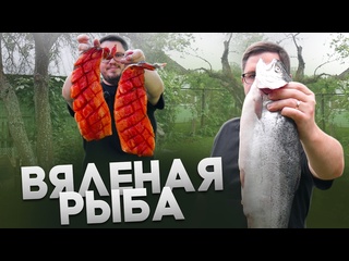 Находка для рыбаков вяленая рыба в сушилке для фруктов и овощей