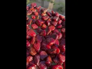 Цукаты из клубники