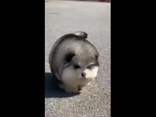 Милаха