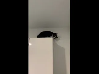 Изыди сатана