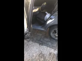 Автомобильное насилие
