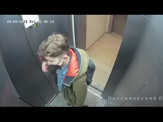 Зумер верблюд