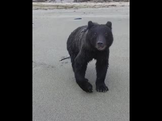 Мишаня