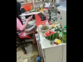 Квартира няшистримерши