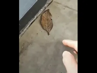 Маскировка