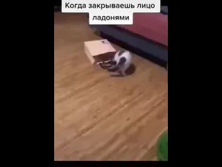 Исчезновение