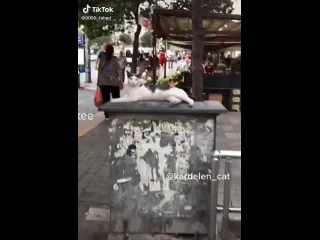 Проход платный