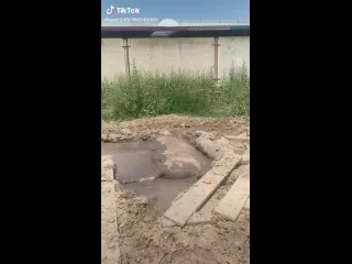 Маскировка