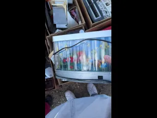Воспоминание разблокировано