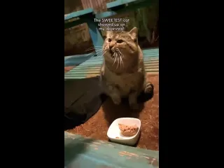 Укрощение строптивого