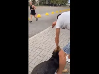 Благодарность