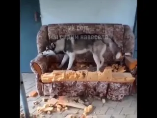 Эксклюзивный диван