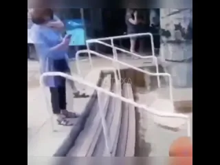 Благодарный зритель