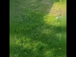 Уснули сладко