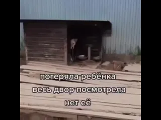 Настоящий друг