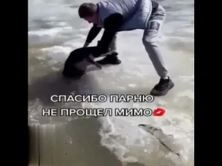 Добрый поступок