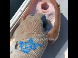 Улыбашка