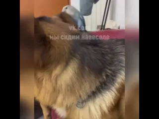 Стильный аксессуар