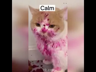 Попробовал салатик
