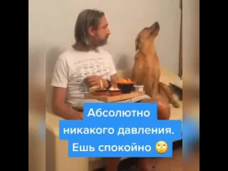 Жадина