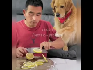Обманщик