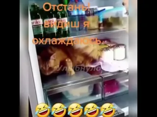 На чиле на расслабоне