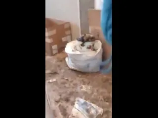 Безответные квартиросъемщики
