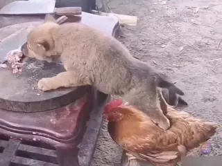 Подставка