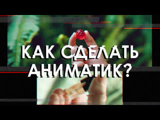Brenta forest animreel