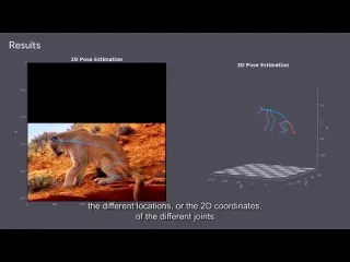 Zoobuilder