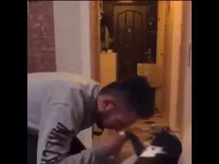 Крестный котец