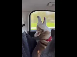 Загадочное явление