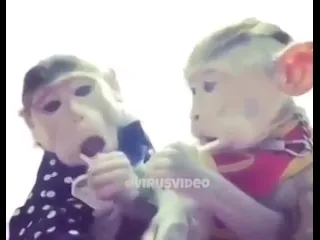 Обезьянки