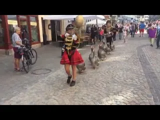 Гуси